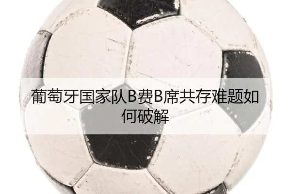 葡萄牙国家队B费B席共存难题如何破解