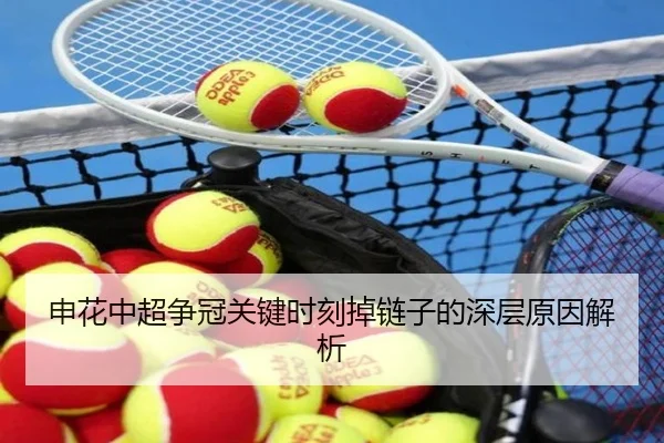 申花中超争冠关键时刻掉链子的深层原因解析
